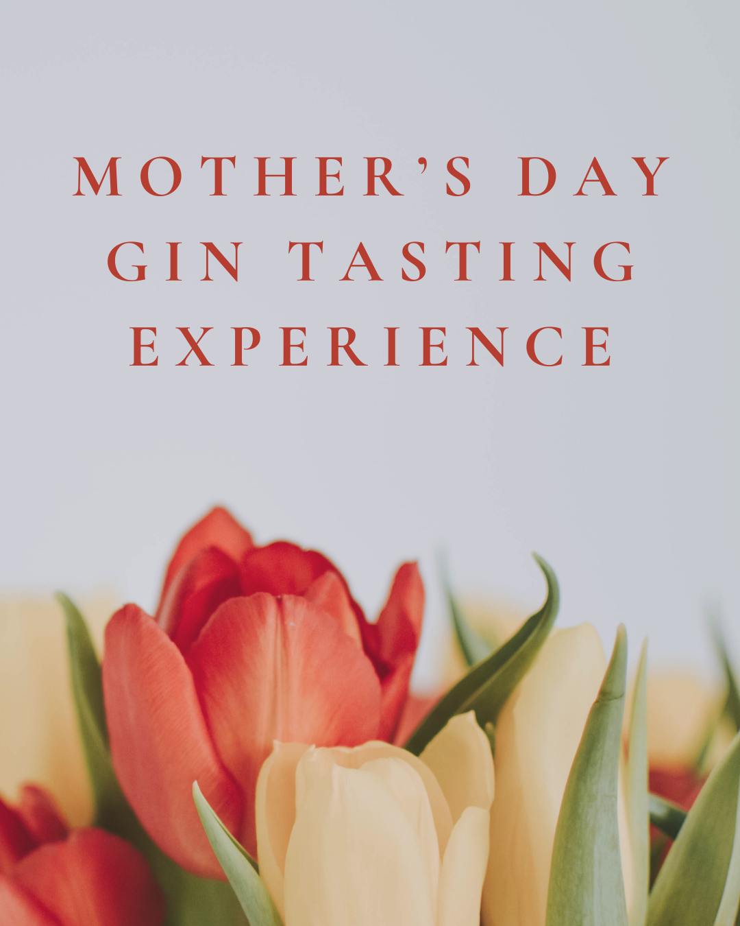 Mothers Day Gin Tasting